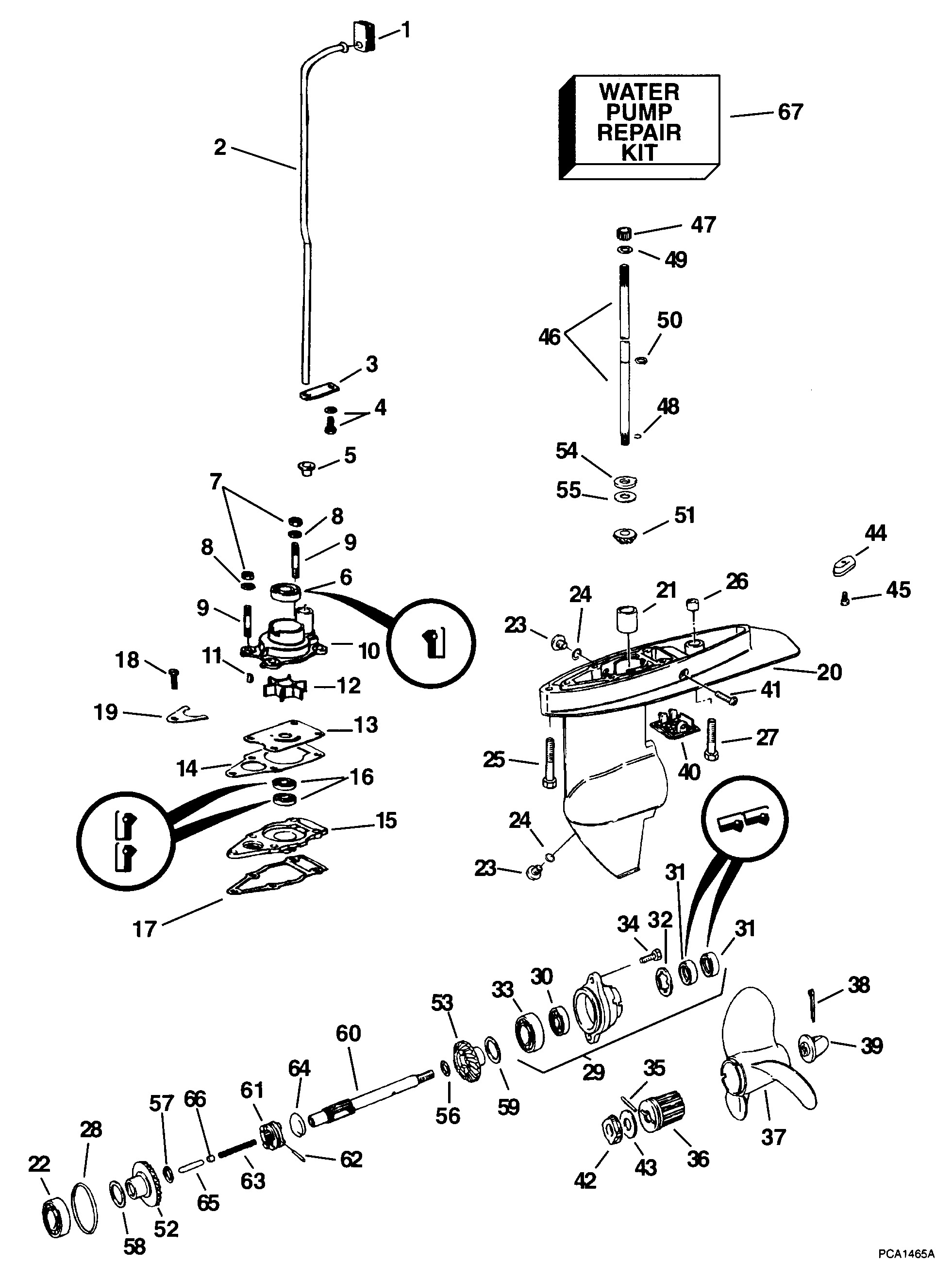 Evinrude Outboard Parts By Hp 5 E5rlecs 1998 Gearcase Evinrudejohnsonomc Outboard 